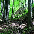 Der Klimawandel lässt ehemals feuchte Bachbetten völlig austrocknen (Foto: BN/LBV)